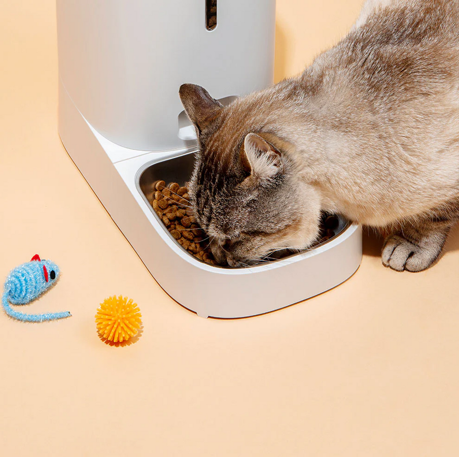 Pet's Best Life Must-Have Pet Products for Happy &amp; Healthy Pets
