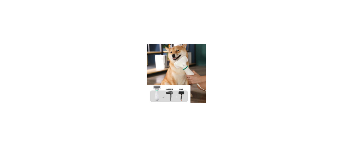 2 in 1 Pet Drying Brush Pet Hair Dryer Comb