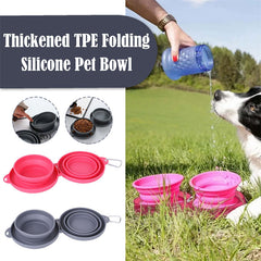 Pet Feeding Bowl