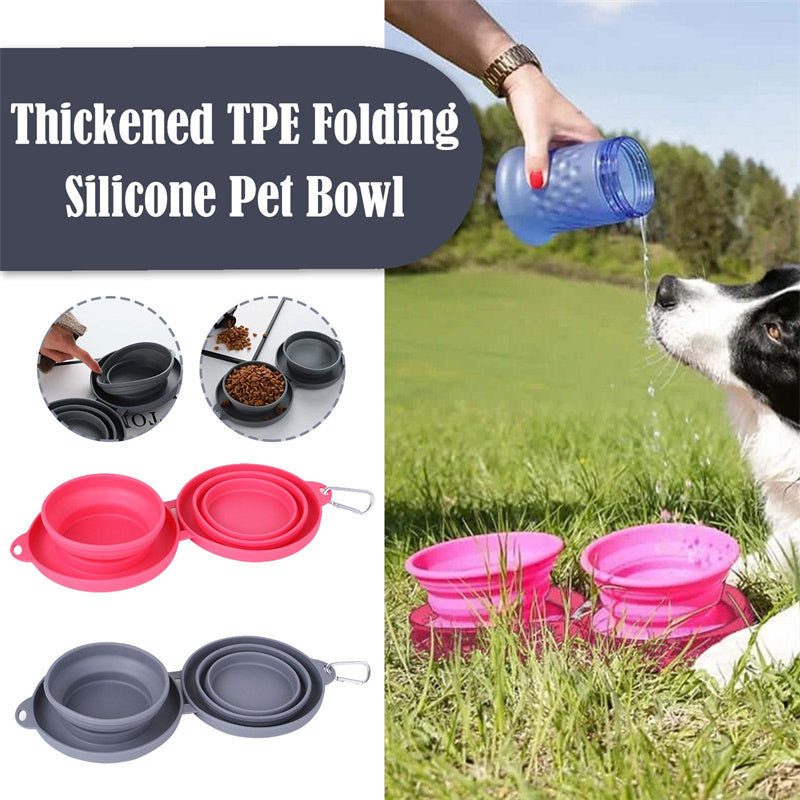 Pet Feeding Bowl