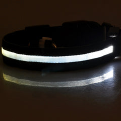 led-pet-dog-collar