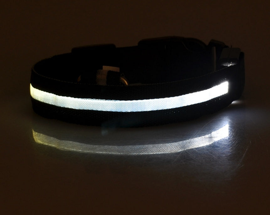 led-pet-dog-collar