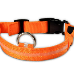 led-pet-dog-collar