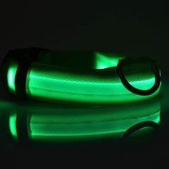 led-pet-dog-collar