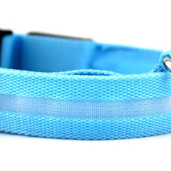 led-pet-dog-collar