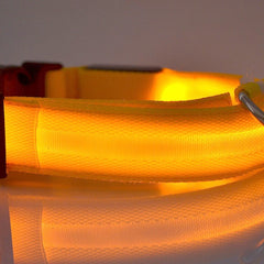 led-pet-dog-collar