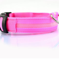 led-pet-dog-collar