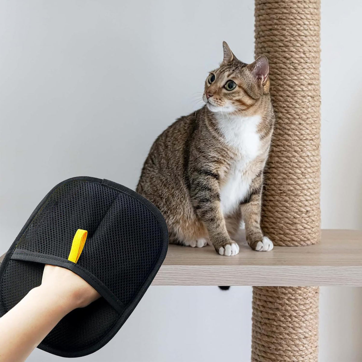 cat-hair-gloves-cat-hair-removal-brush