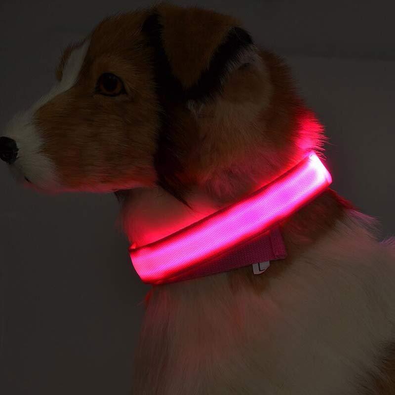 led-pet-dog-collar
