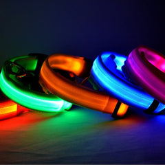 led-pet-dog-collar