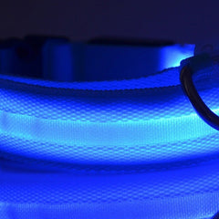 led-pet-dog-collar