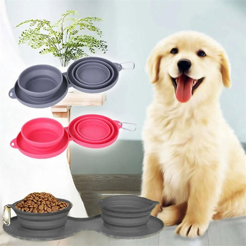Pet Feeding Bowl