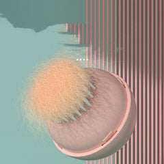 Pet combs & brushes