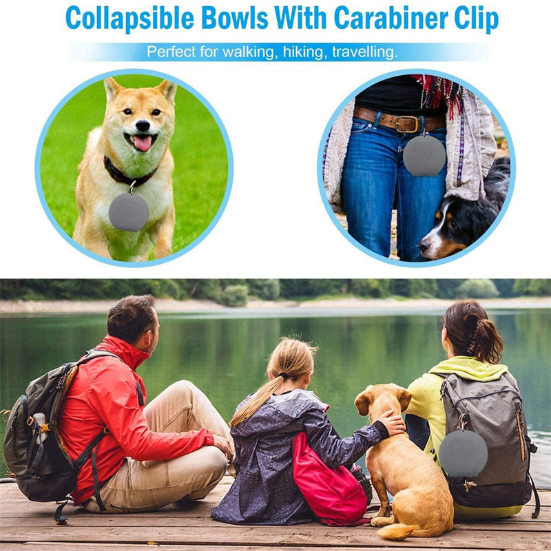 Pet Feeding Bowl