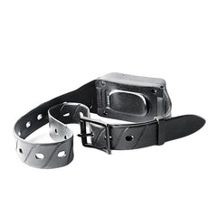 4G North American Edition Collar Medium And Large Animal Tracker Dog Cattle Sheep Beidou GPS Pet Locator