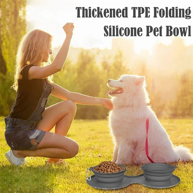 Pet Feeding Bowl