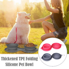 Pet Feeding Bowl