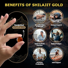 Shilajit Gummies, Himalayan Shilajit Supplements, Ashwagandha, Gokshura, 85 Trace Minerals, High Potency Gold Grade, 60 Gummies For Energy Boost, Immune Support, Non-GMO